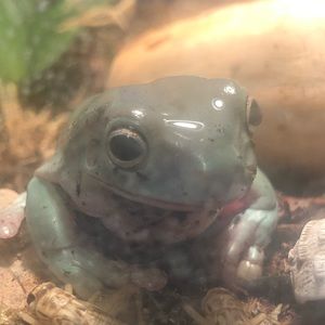 Meet your Posher, Charlotte